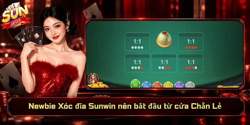 Newbie Xóc đĩa Sunwin nên bắt đầu từ cửa Chẵn Lẻ